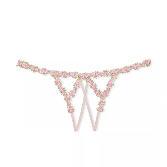 Victoria's Secret Other - NWT DREAM ANGELS
Rosebud Embroidery Crotchless V-String Panty